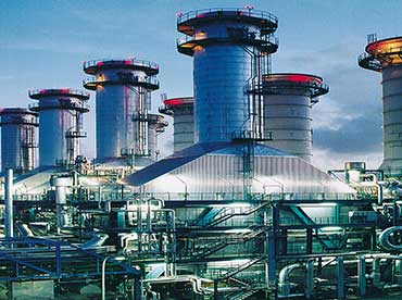 Contrary Popular For This Insurance Flexible